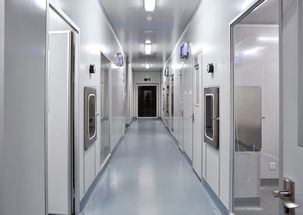 奉賢電子廠與食品廠裝修及軟件開發(fā) 現(xiàn)代產(chǎn)業(yè)升級的融合路徑